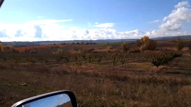 25.10.2022 г.Утро 10.30.температура 20.градусов.поездка в лес за дубовым опадом и на источник ... смотреть онлайн