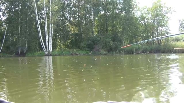 Рыбалка в Кемерово 2020 | Крупный карась смотреть онлайн