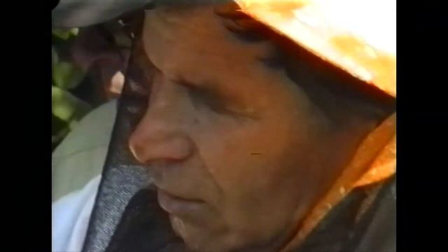 В пчелином царстве.1995г. Севастополь. Николай Иванчура