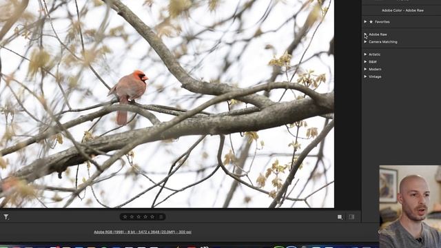 How to Get Camera Matching Profiles for the Canon EOS R6 | Color Correction for Canon R6 RAW Files смотреть онлайн