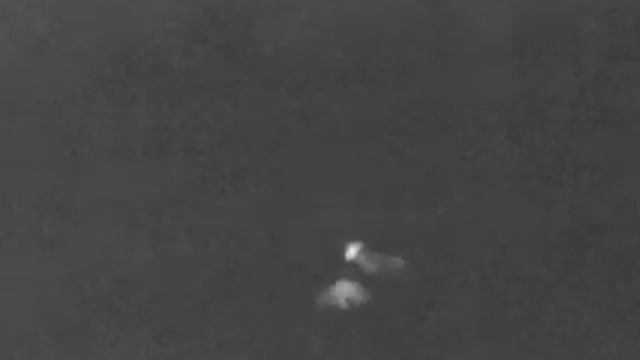 Guide 518C Thermal Imager + 2 Badgers @ 30 meters white hot смотреть онлайн