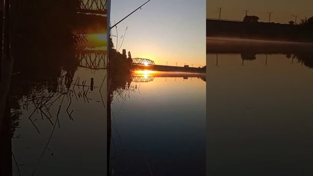 Рассвет в кайф ?☀️ #релаксация #природа #рыбалка #fishing #релакс #речка #музыкадлядуши #музыка
