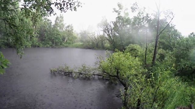 Я припомню шум дождя... Звуки природы..