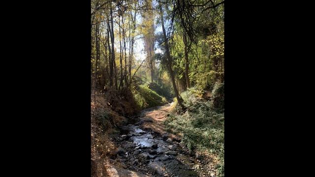 KIRTAN KRIYA 31 MINUTOS - SATANAMA