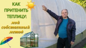 Как притенить теплицу (мой собственный метод)
