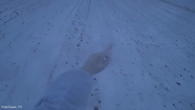 Охота на зайца. РАСПУТАЛ ДВУХ ЗАЙЦЕВ! Тропление зайца зимой по снегу. смотреть онлайн