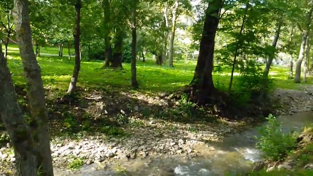 THE BEST CITY PARK смотреть онлайн