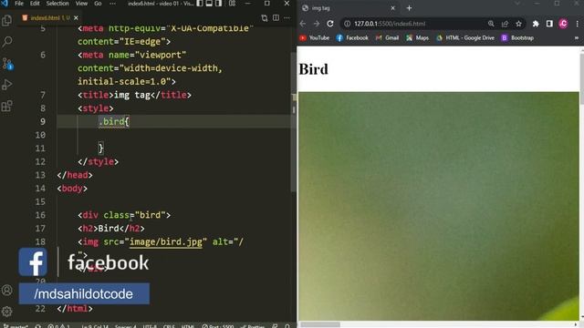 HTML For Beginner : img tag in html смотреть онлайн