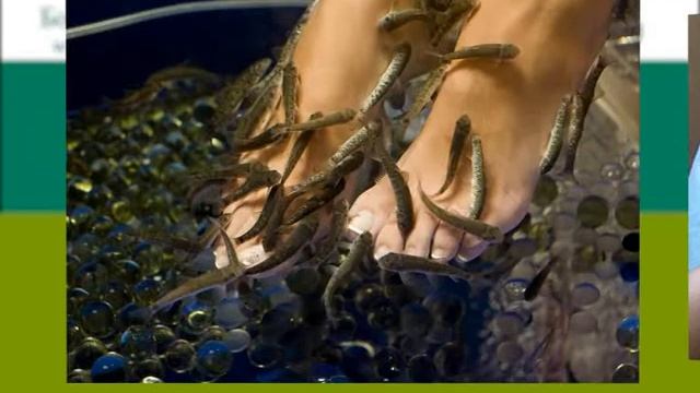 Бобачевская роща, Тверь