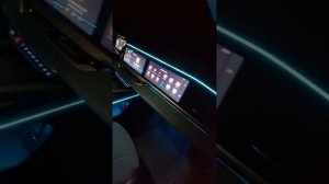 geely manjaro динамическая(амбиентная) подсветка салона