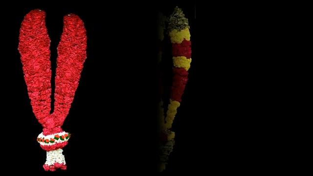maalai PNG file collection/wedding maalai for photoshop designing (@georgedigital6948 ) смотреть онлайн