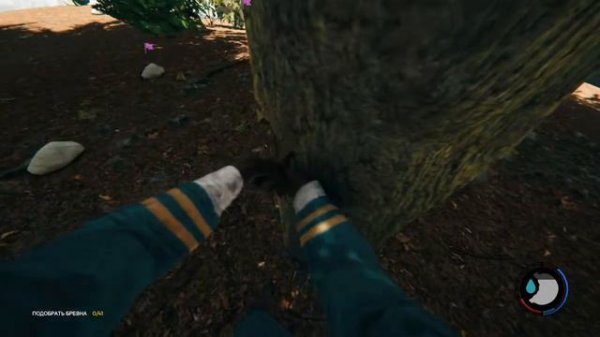 Зе форест с другом