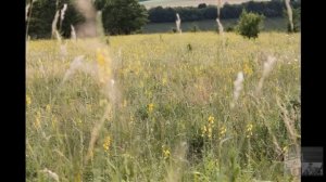 Вечер ясен и тих (Evening clear and quiet).wmv