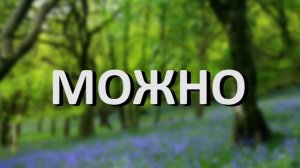 MC Пох   Весенний лес