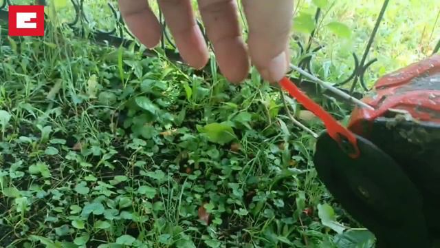 Einhell Триммер аккумуляторный GC-CT 18-24 L-F