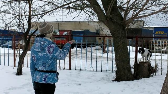 РОС Дик. Комплекс. Работа жестами на ограниченном пространстве. смотреть онлайн