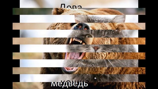 гороскоп животных смотреть онлайн