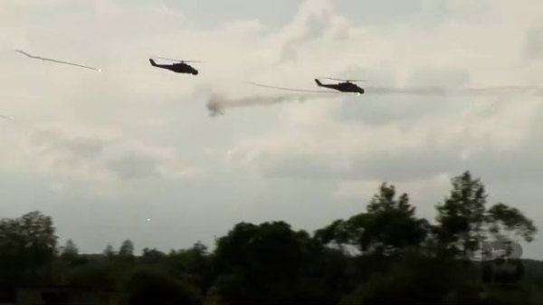 "Пальмира" / "Palmyra"