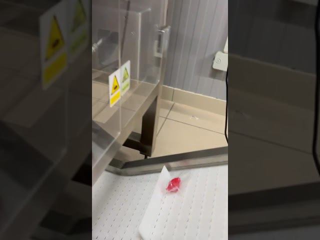 Автомат для фасовки маринованного имбиря смотреть онлайн