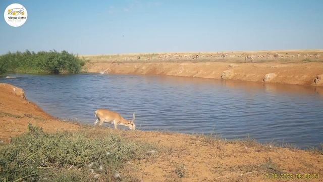Приоткрывая заповедные двери… Оживленное место смотреть онлайн