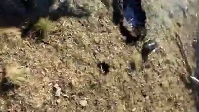 Потерянный ребёнок смотреть онлайн