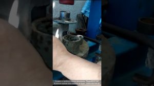 Volkswagen T4. Замена сайлентблоков нижних рычагов на Volkswagen T4 Caravela 2.5 TDI 2001г.