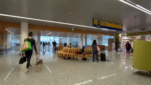Arriving at Calgary Airport Canada Travel vlog смотреть онлайн