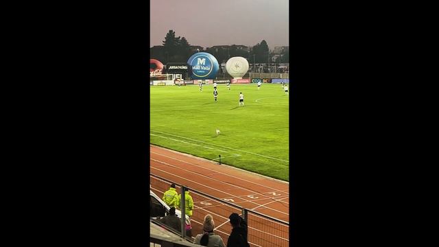 Stray Dog Disrupts Pro Soccer Match to Help Water the Grass || ViralHog смотреть онлайн