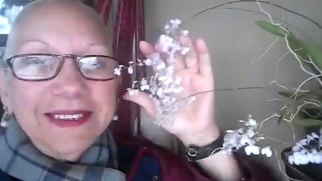 Minhas IONOPSIS 2019 смотреть онлайн