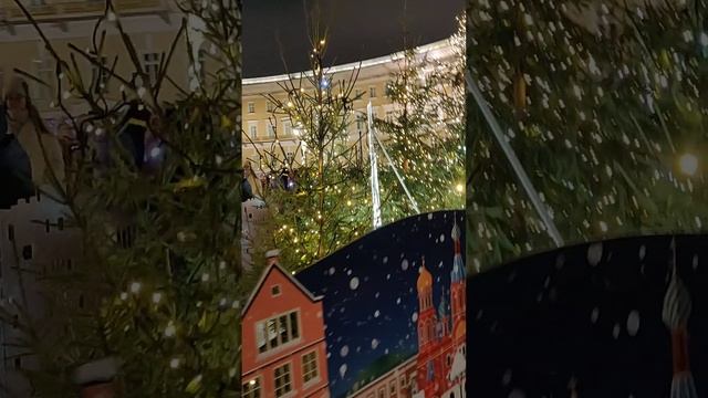 Живая ёлка на Дворцовой площади. Санкт-Петербург 2023