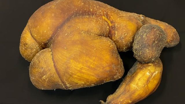 Строение многокамерного желудка смотреть онлайн