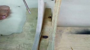 Фанера берёзовая или сосновая?