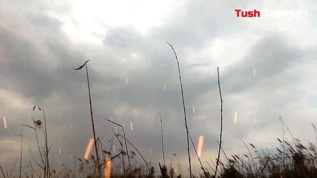 Туш табири - Тушда Муштлашув куриш смотреть онлайн