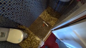 Теплоход «И.А.Крылов». Обзор