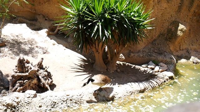 ?¡Así Es TERRA NATURA BENIDORM!?| ¡El Mejor Zoo De Benidorm!
