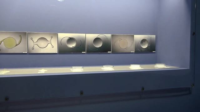 Výstava Člověk v náhradách смотреть онлайн