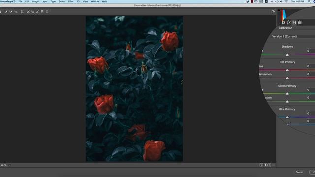 Photoshop cc tutorial: Dark Green Color Grade in Camera Raw (RED ROSE) смотреть онлайн
