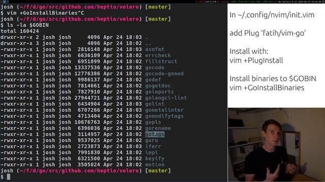 Vim as a Go (Golang) IDE using LSP and vim-go смотреть онлайн