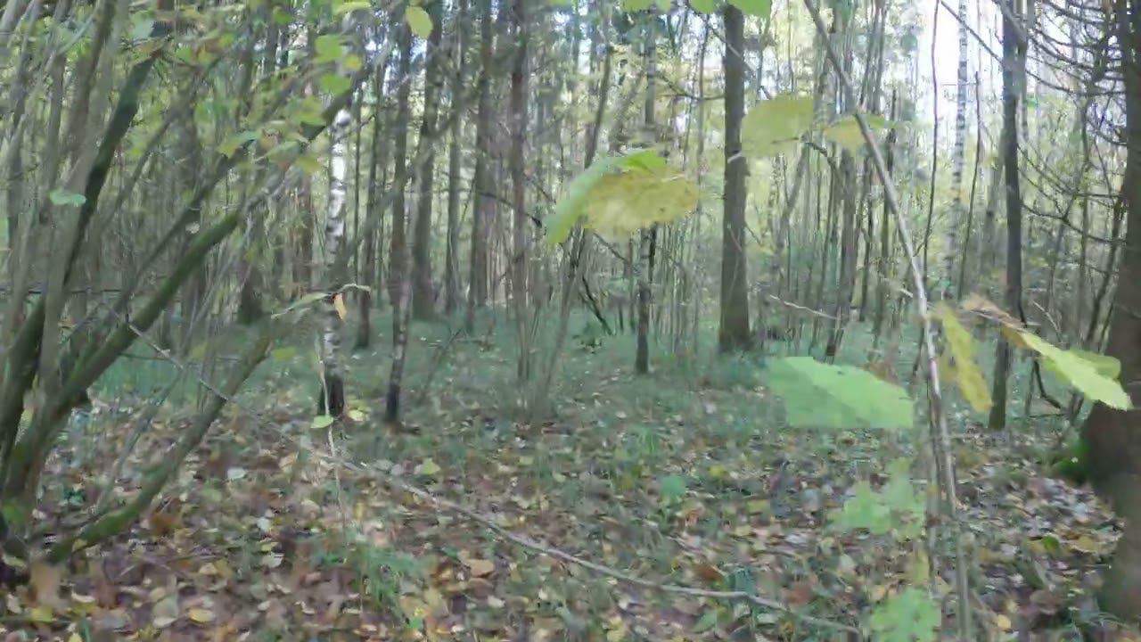 7.10.2022_6 смотреть онлайн