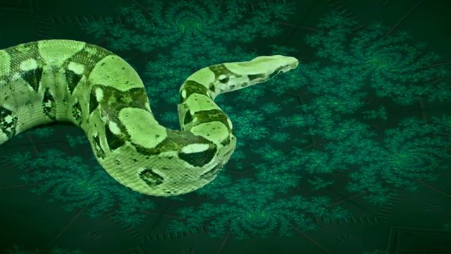 Snakes and Ladders смотреть онлайн