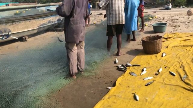 Купили байк/ Обзор комнаты/ Купили много рыбы у рыбаков/ Жарим и солим#индия #гоа #арамболь #рыбалк смотреть онлайн