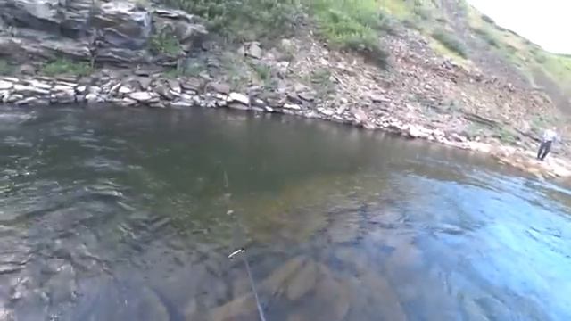 УЩЕЛЬЕ ЧЕРНЫХ ВЕЛИКАНОВ!! ЧАСТЬ1! СИБИРСКИЕ ЛАПТИ АТАКУЮТ!!!! смотреть онлайн