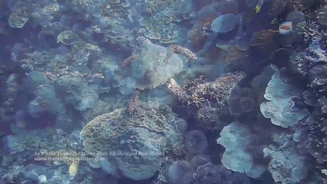 As A Man Thinketh By James Allen (Unabridged Audiobook) смотреть онлайн