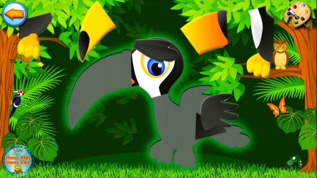 Forest - Kids Coloring Book Games - Learning Forest Animals - Cute Jungle Animals