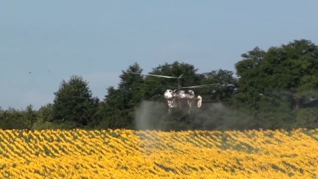 Kamov Ka-26 Spraying Fungicide To Sunflower Field Near Bakonysárkány, Hungary