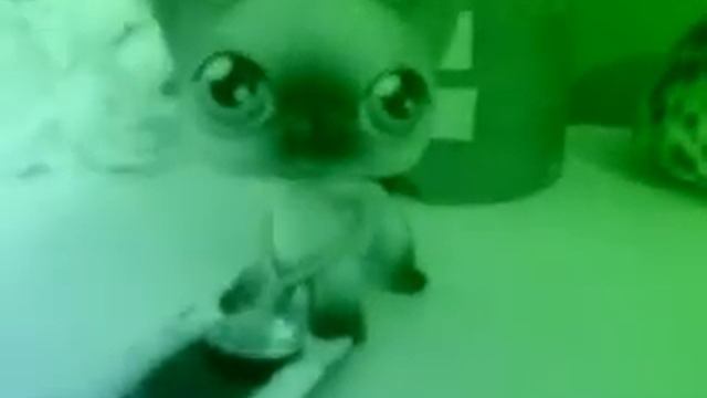 Видео клип  ты мой кайф