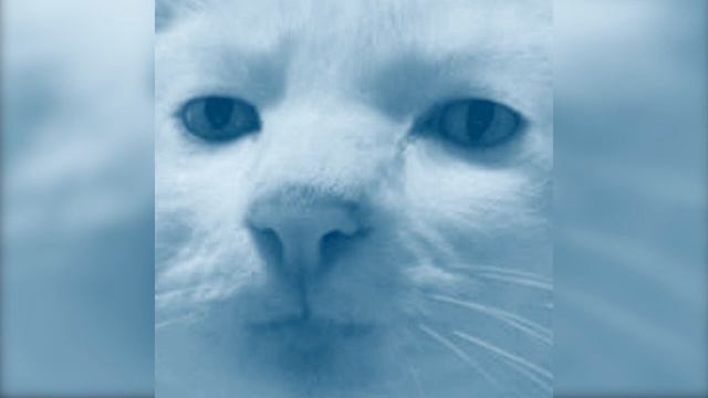 СПБ - Forever alone смотреть онлайн