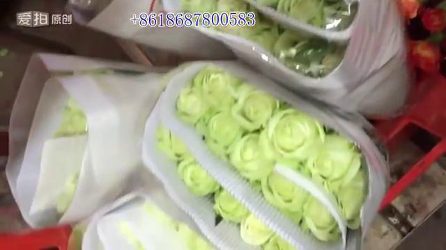 where to buy the High quality Fresh cut flowers, Roses,Spray Roses,Carnations,Lily with Low price? смотреть онлайн
