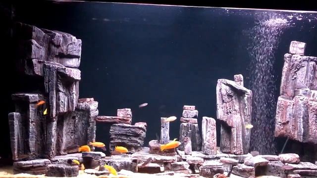 АКВАРИУM. ДЕКОР СВОИМИ РУКАМИ