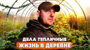 САЖАЙТЕ  В ТЕПЛИЦУ  ТАК И БУДЕТ  УРОЖАЙ КРУГЛЫЙ ГОД  !